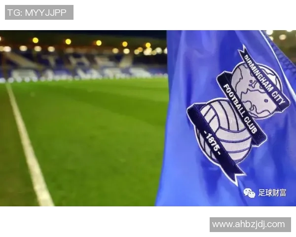 足球明星的财富与荣耀背后的生活揭秘与奢华享受 足球明星的财富与荣耀背后的生活揭秘与奢华享受