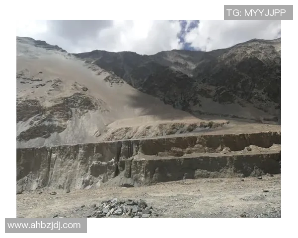 维克托文班亚马：未来NBA巨星的崛起与挑战之路